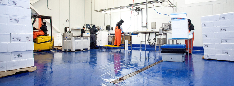 Safety/Anti-Slip