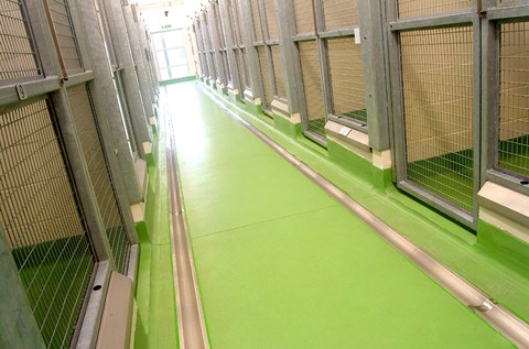 Its A Dog's Life At Sunnyside Kennels