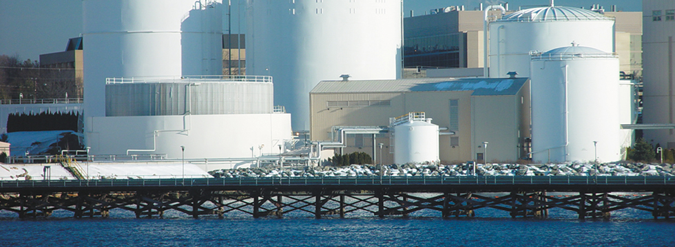 Chemical Power and Water Processing